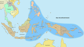 Das Korallendreieck von Indonesien