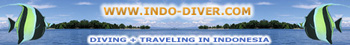 www.indo-diver.com
